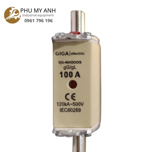 Cầu Chì Ngắn Mạch Dòng Cao GG-NH000S-80A 