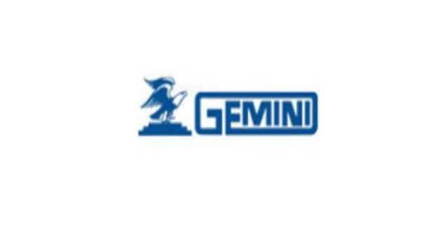 GEMINI