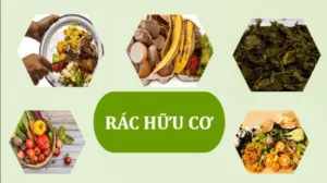 HƯỚNG DẪN PHÂN LOẠI RÁC HỮU CƠ VÀ VÔ CƠ